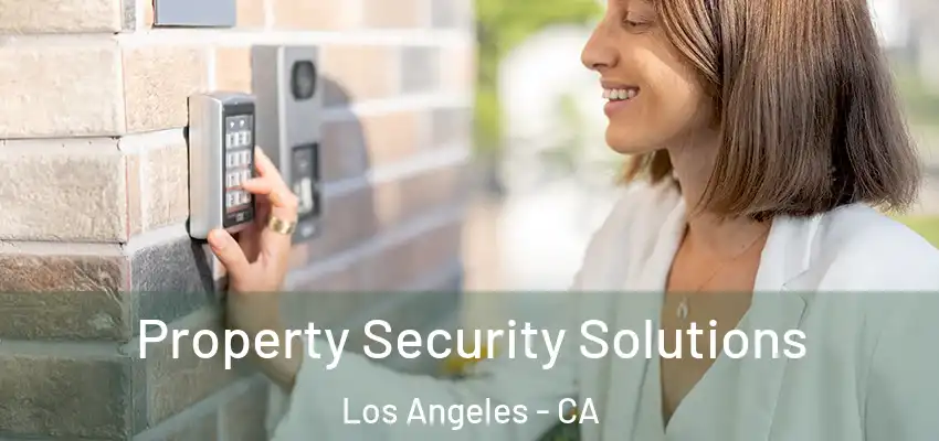  Property Security Solutions Los Angeles - CA